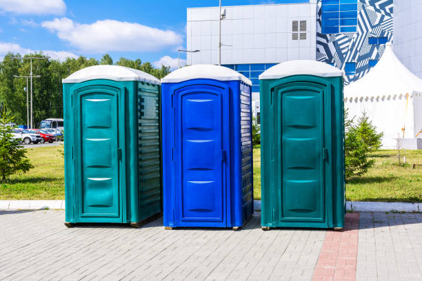 Best Short-Term Portable Toilet Rental  in Babbitt, MN