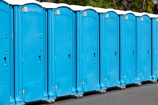 Professional Portable Potty Rental  in Babbitt, MN