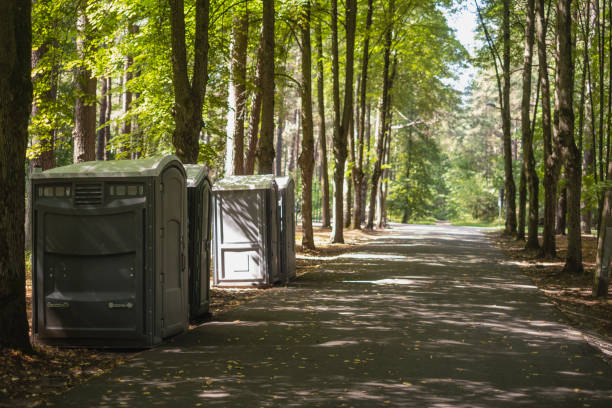 Best Standard Portable Toilet Rental  in Babbitt, MN